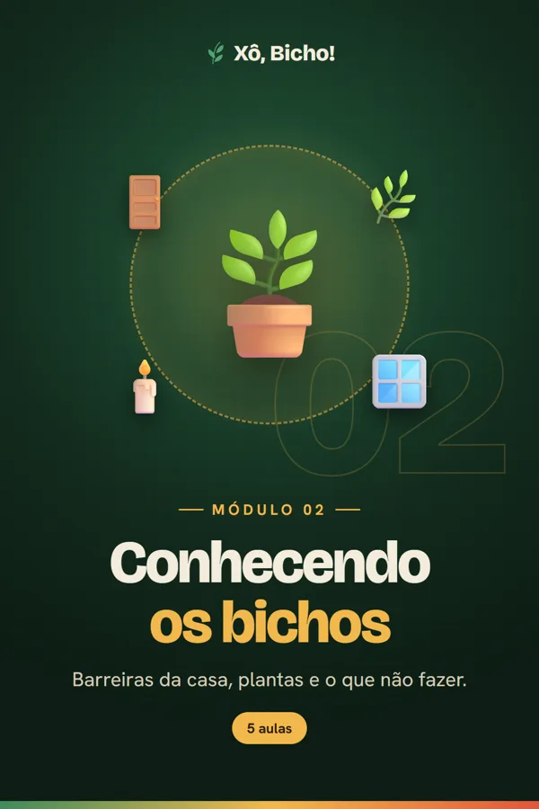 Capa do módulo 2, Conhecendo os bichos