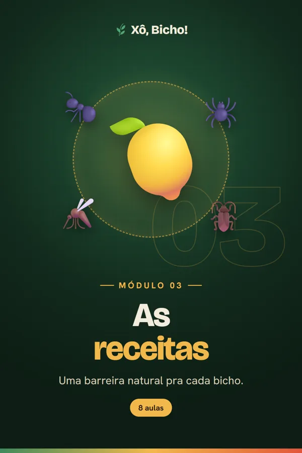 Capa do módulo 3, As receitas