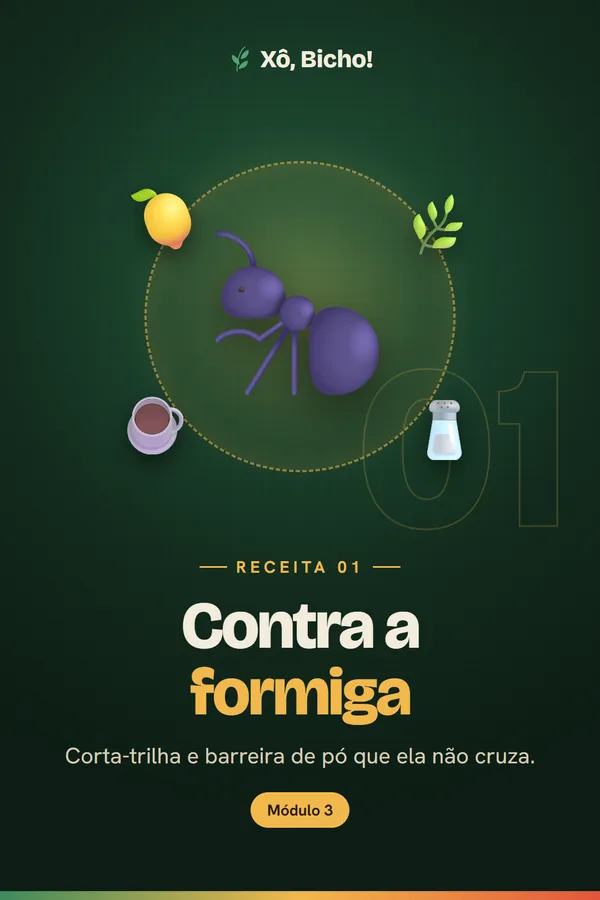 Capa da receita 1: Formiga