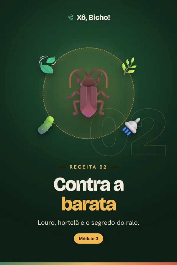 Capa da receita 2: Barata
