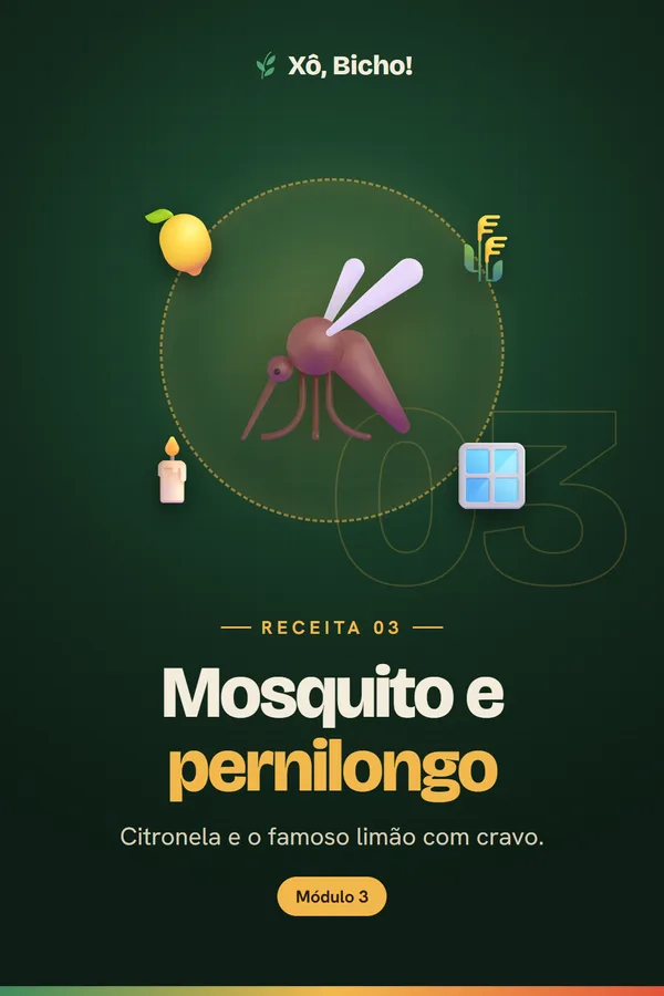 Capa da receita 3: Mosquito e pernilongo