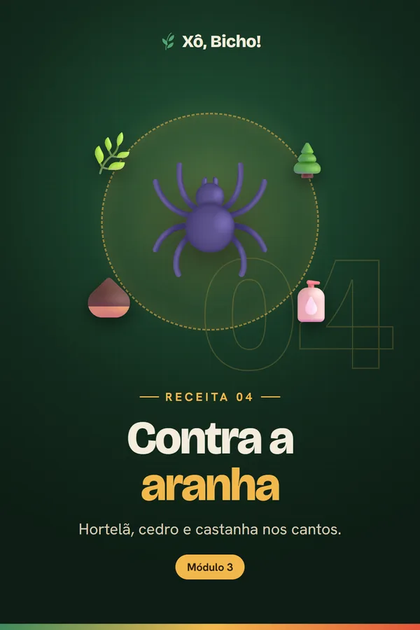 Capa da receita 4: Aranha