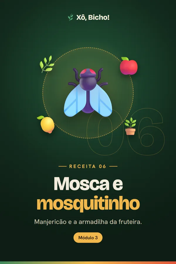 Capa da receita 6: Mosca e mosquitinho