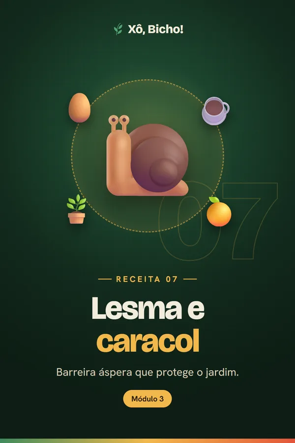 Capa da receita 7: Lesma e caracol